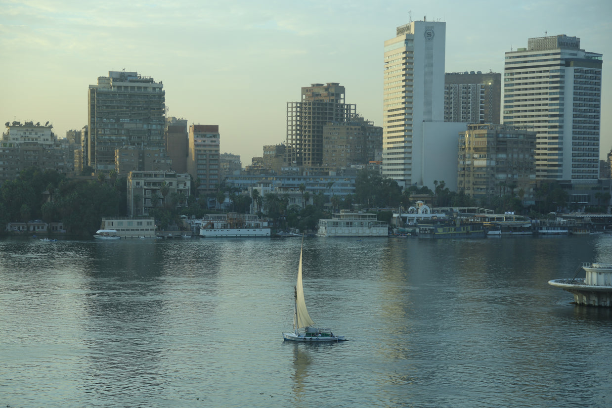 Stillness Amid the Noise