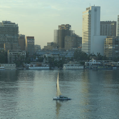 Stillness Amid the Noise