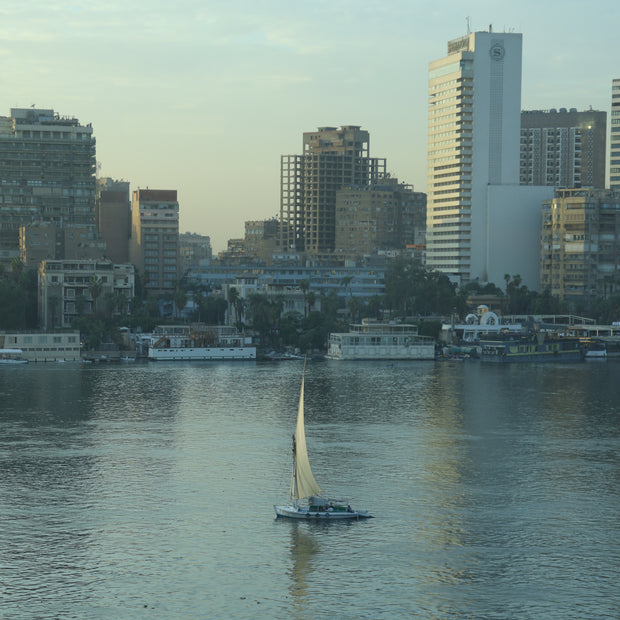 Stillness Amid the Noise