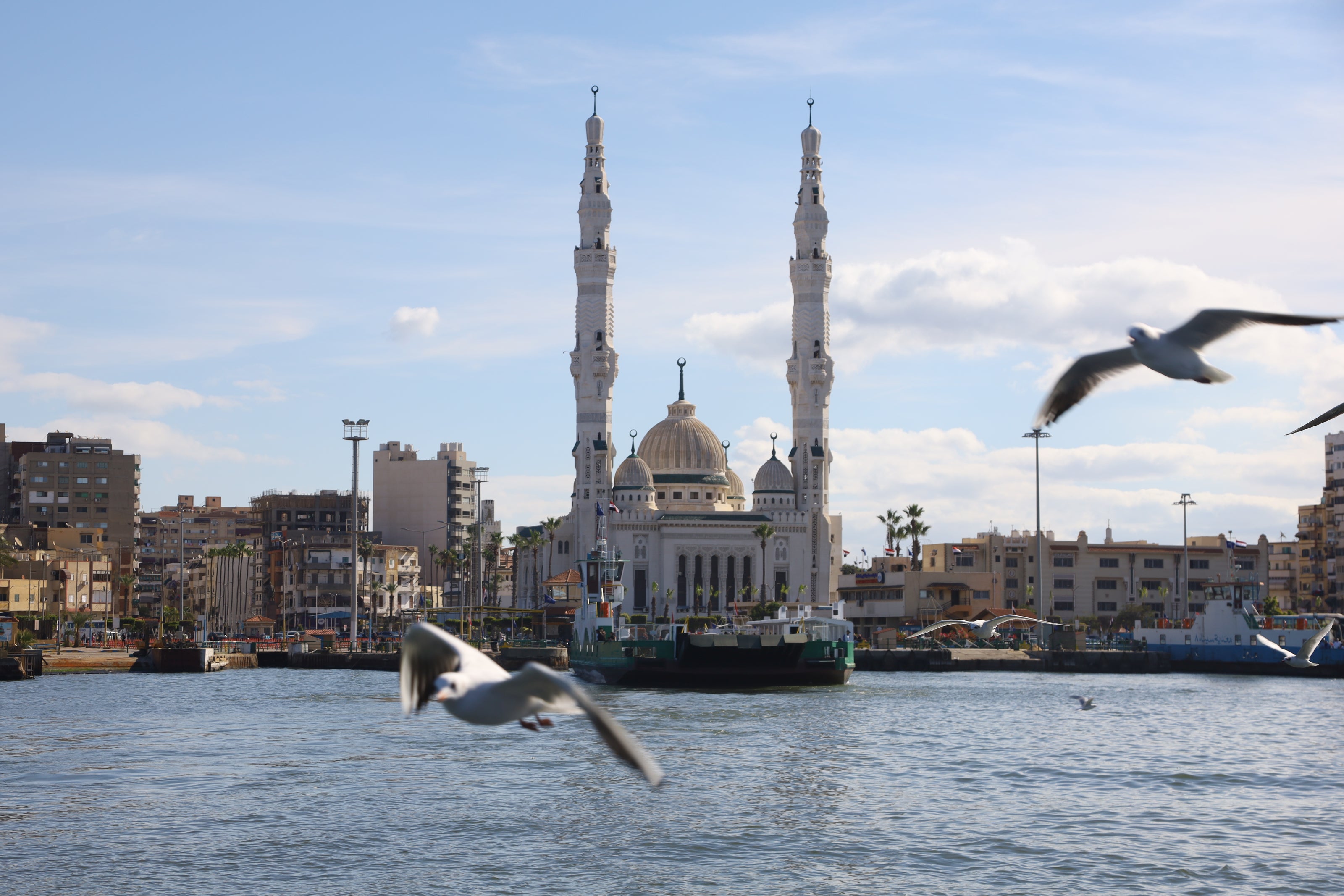 Crossing & Seagull (Canvas)