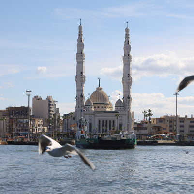 Crossing & Seagull (Canvas)