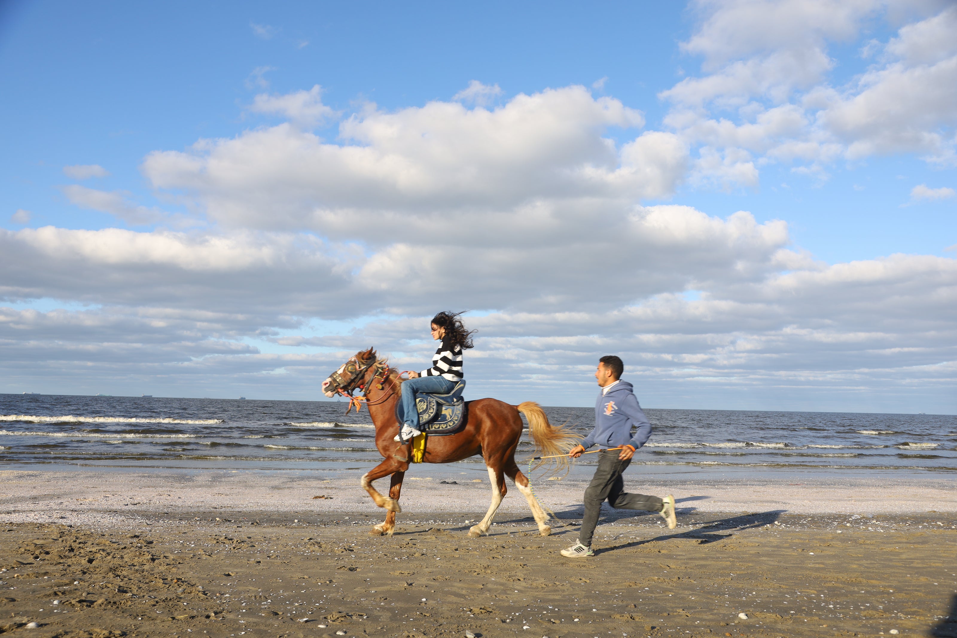 Daughter of the Wind