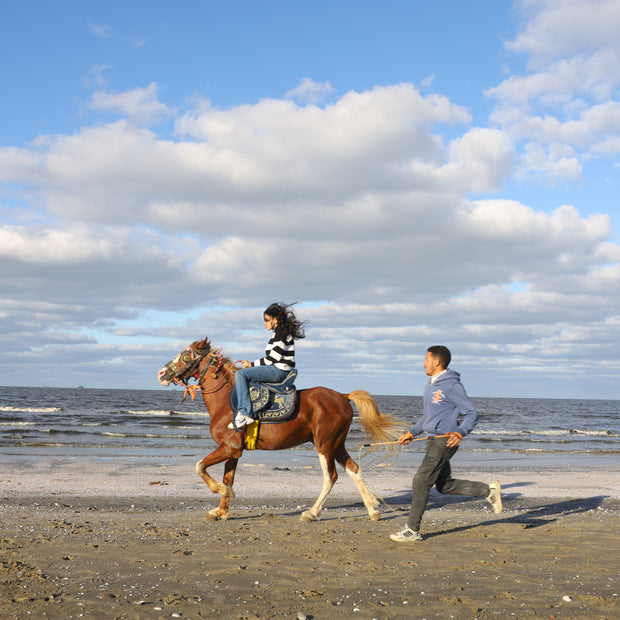 Daughter of the Wind