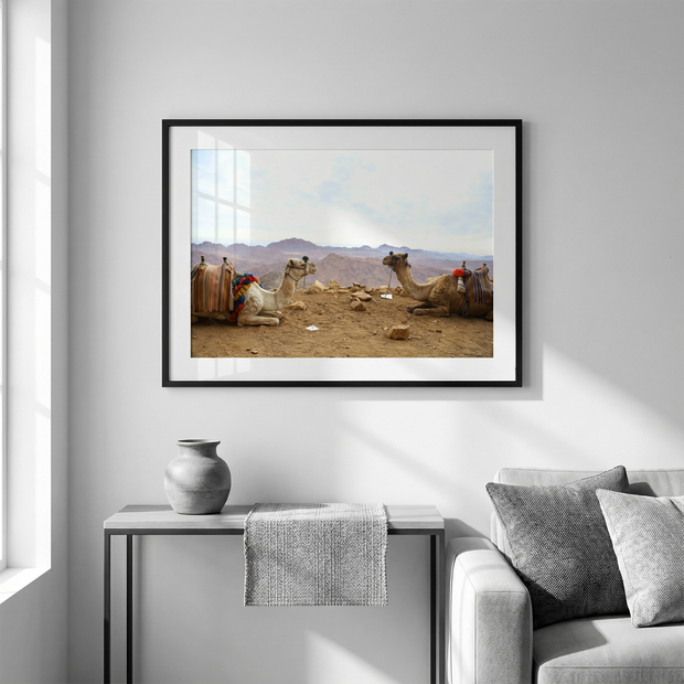 A Conversation from the Heart