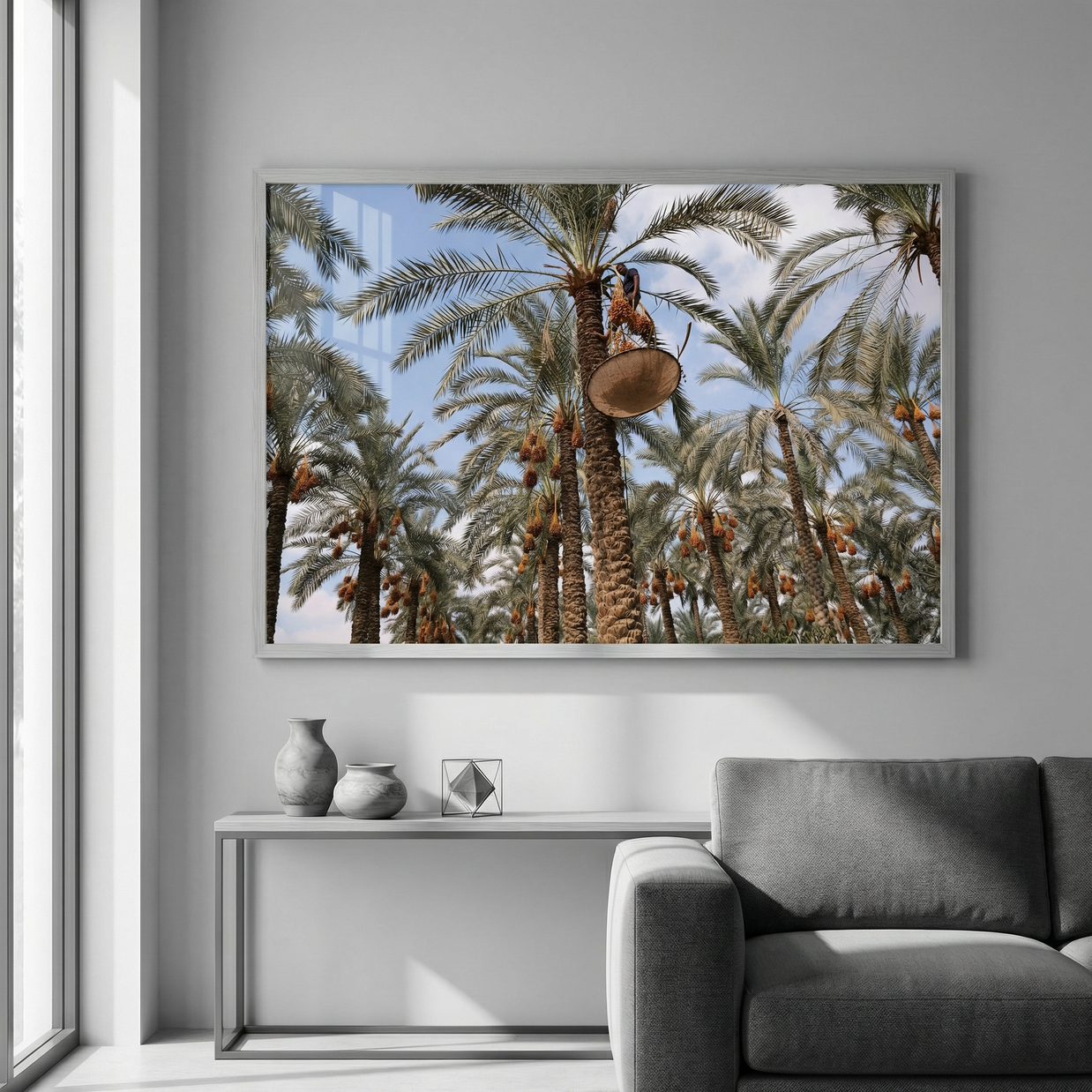 Between Sky and Earth, the Date Harvester