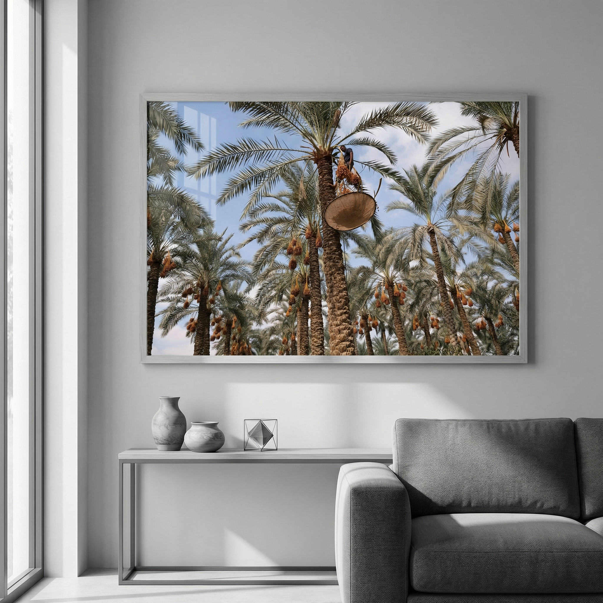 Between Sky and Earth, the Date Harvester